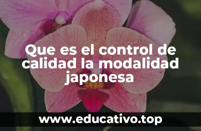 Que es el control de calidad la modalidad japonesa
