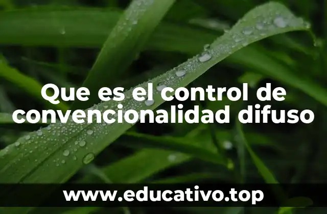 Que es el control de convencionalidad difuso