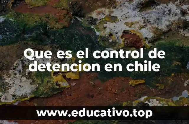 Que es el control de detencion en chile