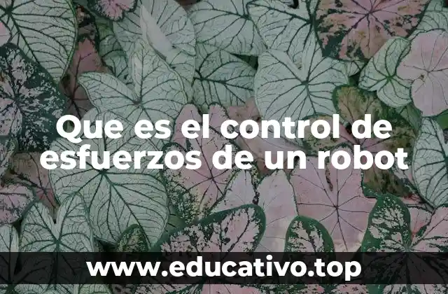 Que es el control de esfuerzos de un robot