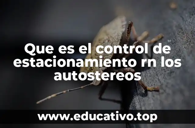 Que es el control de estacionamiento rn los autostereos