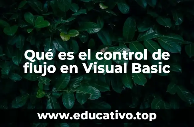 Qué es el control de flujo en Visual Basic