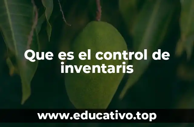 La importancia del control en la gestión empresarial