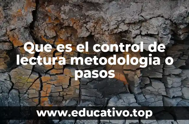 Que es el control de lectura metodologia o pasos