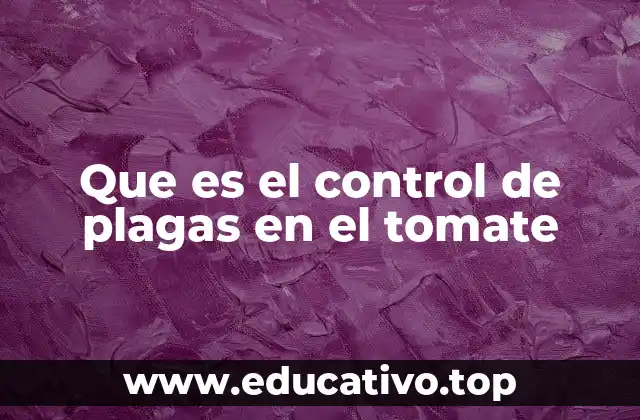 Que es el control de plagas en el tomate