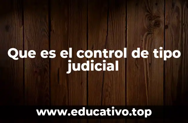 Que es el control de tipo judicial