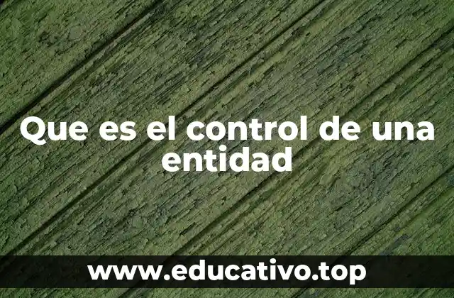 Que es el control de una entidad