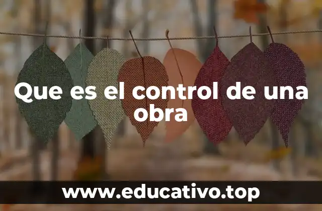 Que es el control de una obra