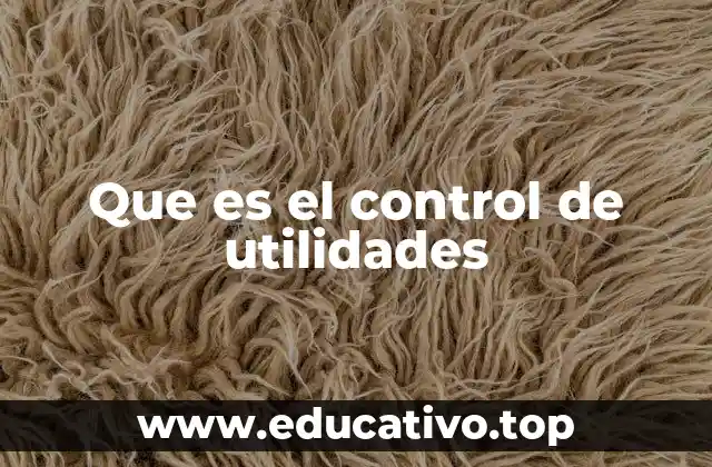 Que es el control de utilidades