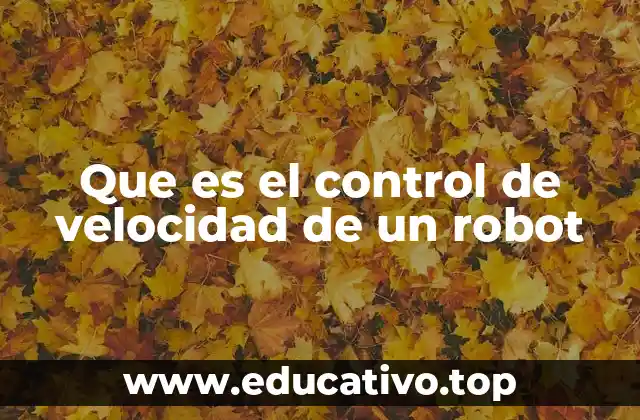 La importancia del ajuste de velocidad en la operación robótica
