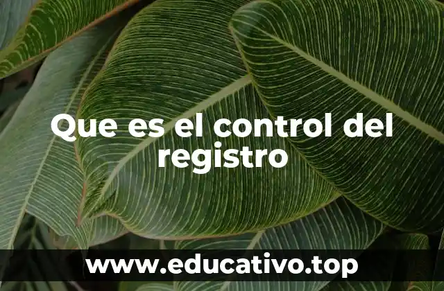 Que es el control del registro