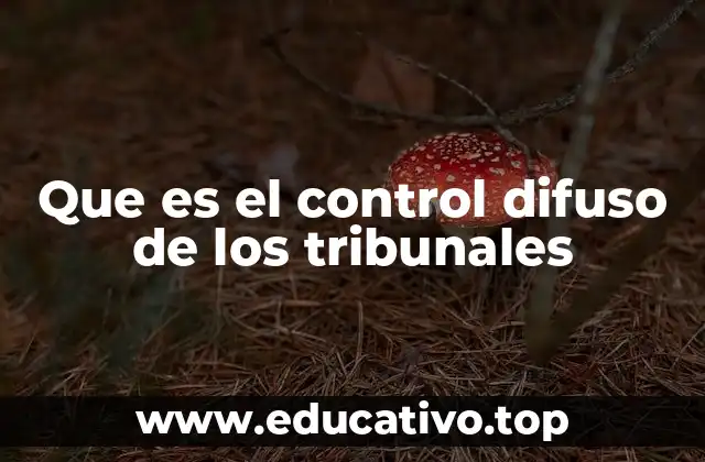 Que es el control difuso de los tribunales