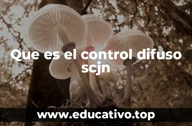 Que es el control difuso scjn