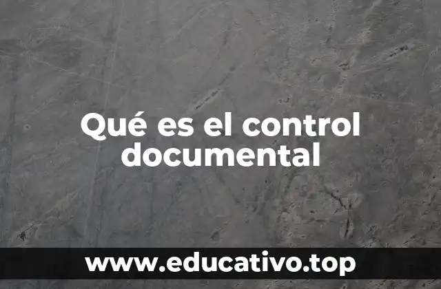 Qué es el control documental