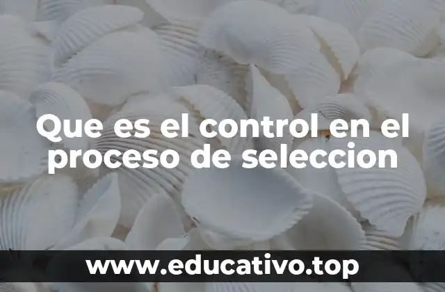Que es el control en el proceso de seleccion