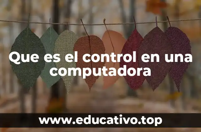 Que es el control en una computadora