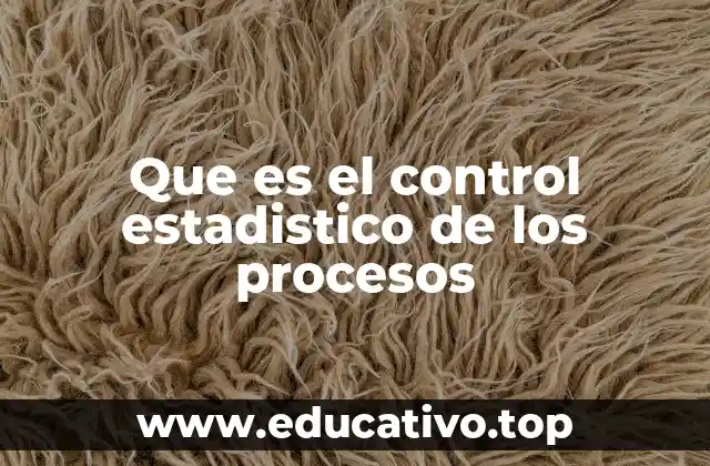 Que es el control estadistico de los procesos
