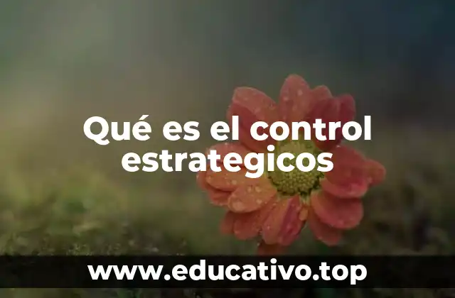Qué es el control estrategicos