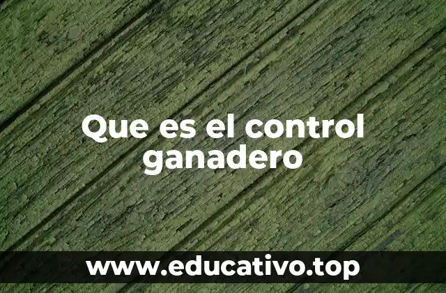 La importancia del control en la gestión ganadera