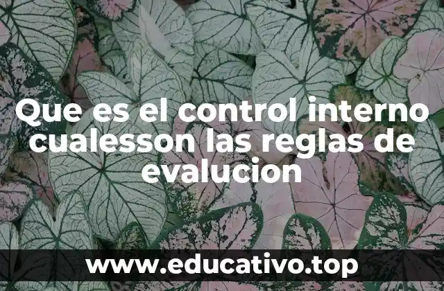 Que es el control interno cualesson las reglas de evalucion
