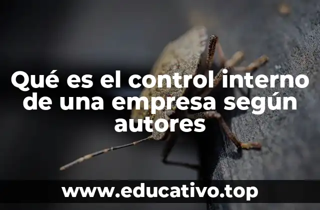 Qué es el control interno de una empresa según autores