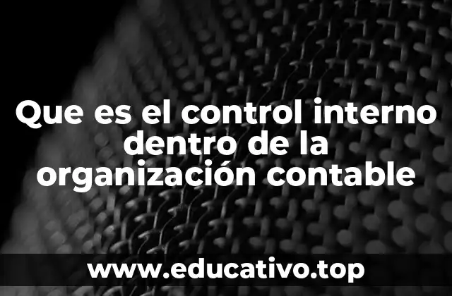 Que es el control interno dentro de la organización contable