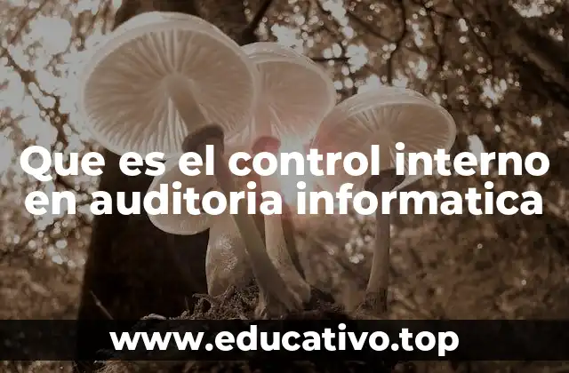 Que es el control interno en auditoria informatica