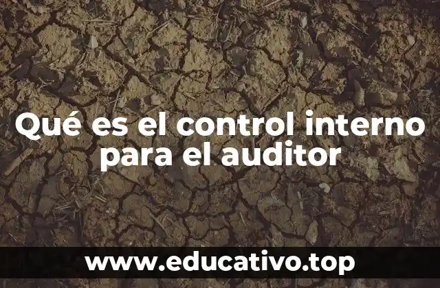 Qué es el control interno para el auditor