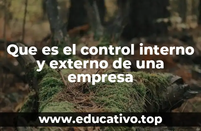 Que es el control interno y externo de una empresa