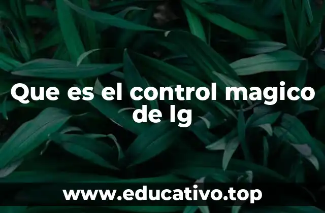 Que es el control magico de lg