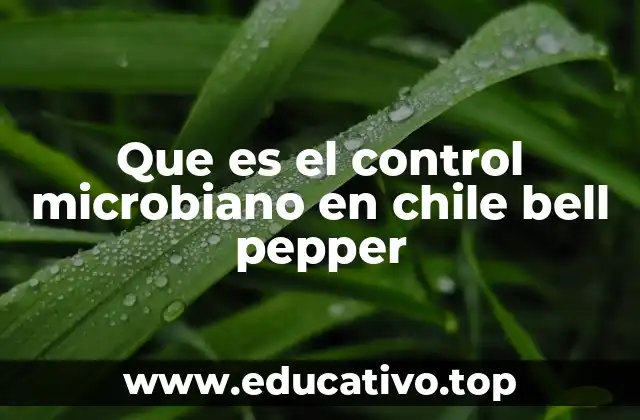 Que es el control microbiano en chile bell pepper