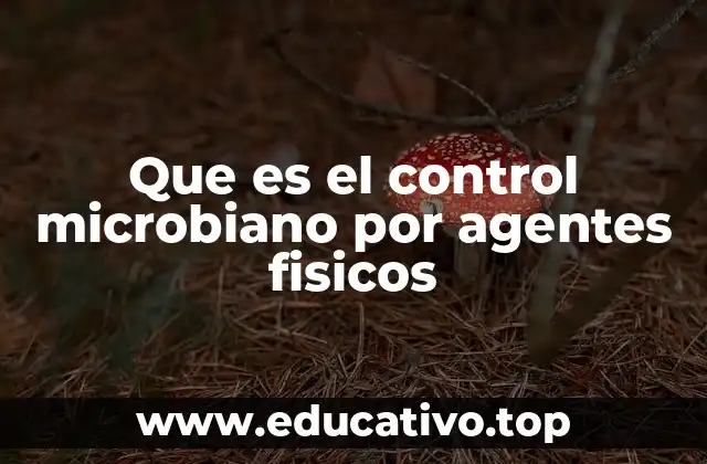Que es el control microbiano por agentes fisicos