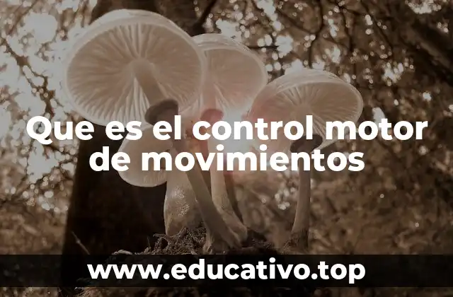 Que es el control motor de movimientos
