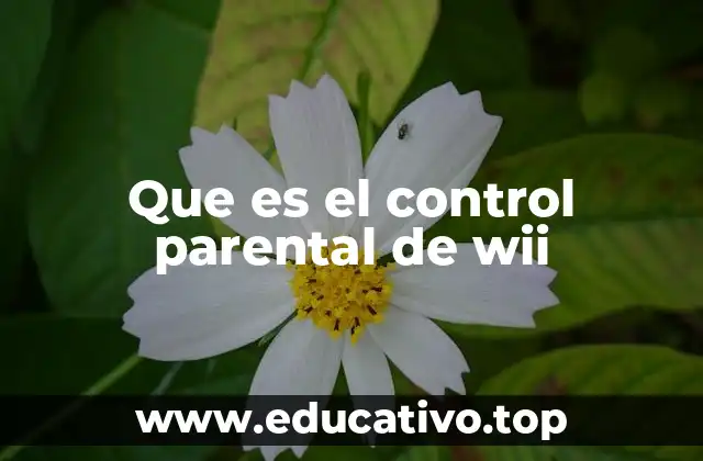 Que es el control parental de wii