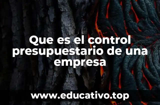 Que es el control presupuestario de una empresa