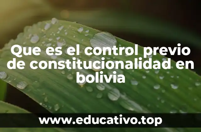 Que es el control previo de constitucionalidad en bolivia