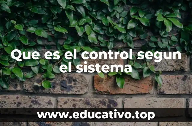 Que es el control segun el sistema