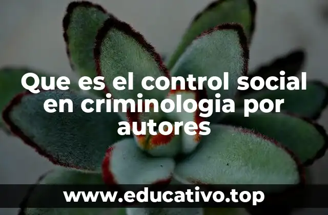 Que es el control social en criminologia por autores