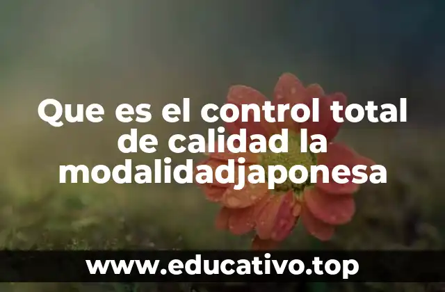 Que es el control total de calidad la modalidadjaponesa