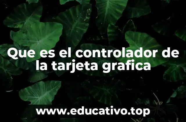 Que es el controlador de la tarjeta grafica