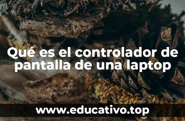 Qué es el controlador de pantalla de una laptop