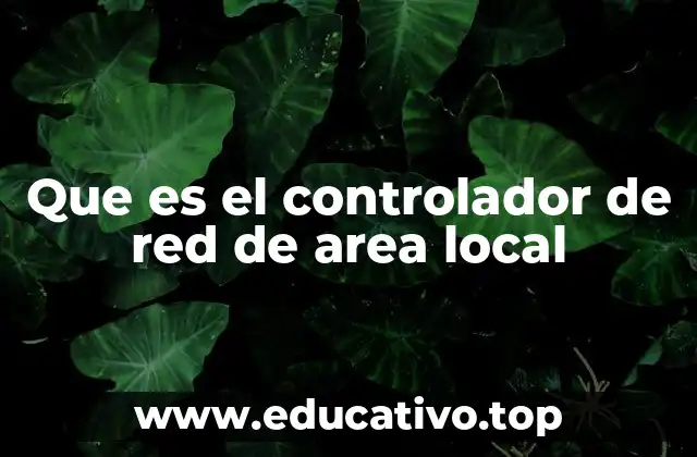 Que es el controlador de red de area local