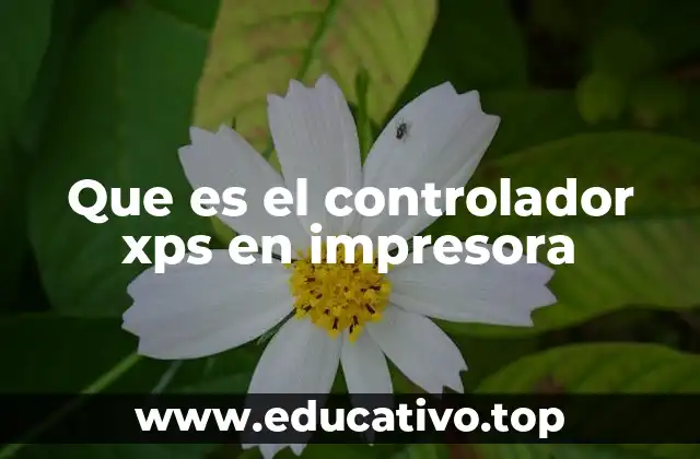 Cómo funciona el controlador XPS sin mencionar directamente el término