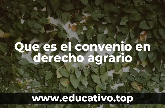 Que es el convenio en derecho agrario