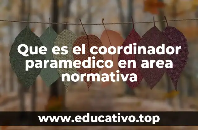Que es el coordinador paramedico en area normativa