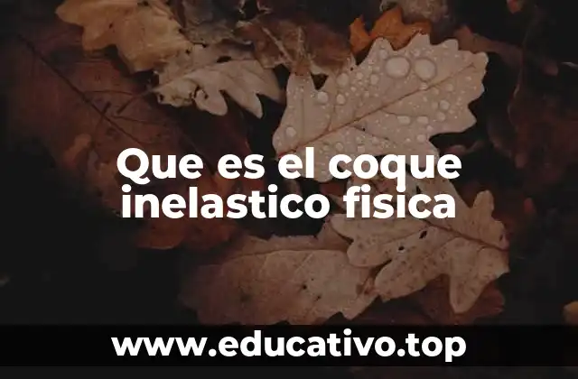 Características de las colisiones inelásticas