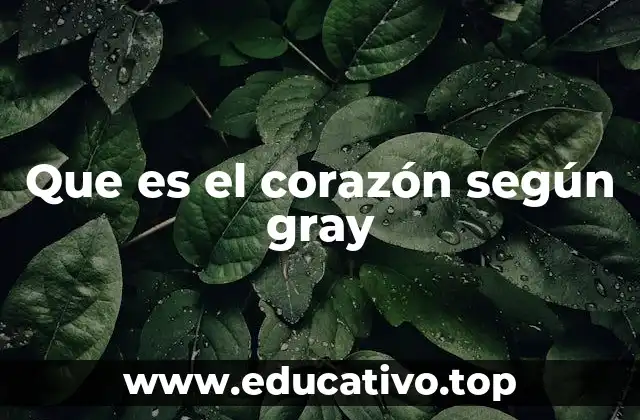 Que es el corazón según gray