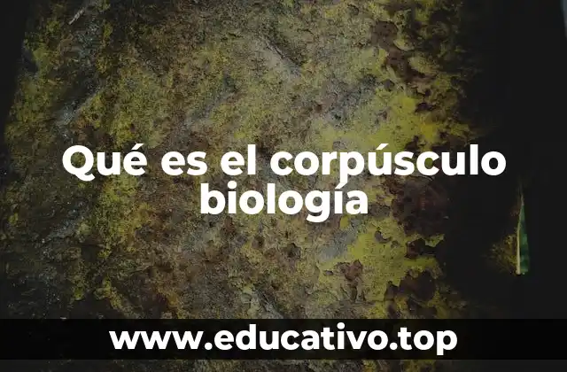 Qué es el corpúsculo biología