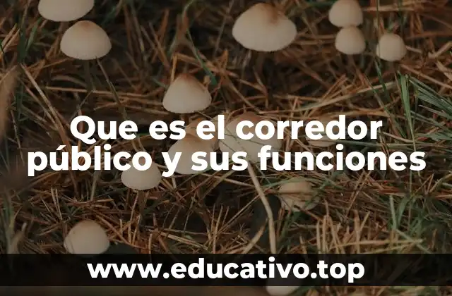 Que es el corredor público y sus funciones