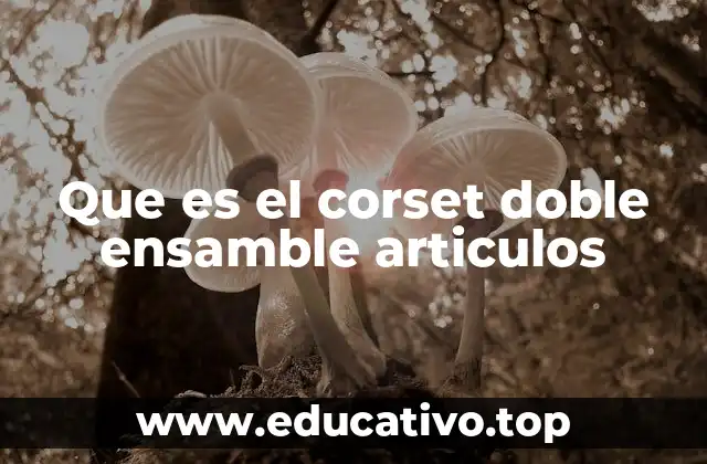 Que es el corset doble ensamble articulos